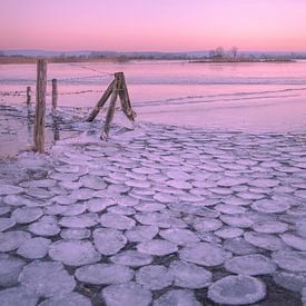 Bijzonder natuurverschijnsel: ijspannenkoeken van Moetwil en van Dijk - Fotografie
