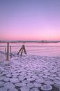Bijzonder natuurverschijnsel: ijspannenkoeken van Moetwil en van Dijk - Fotografie thumbnail