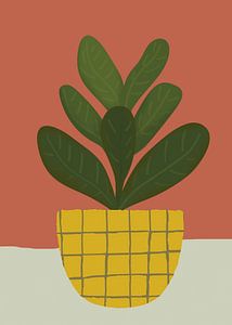 TW living - botanic home 7
