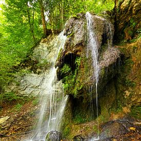 Tannegger Wasserfall in der Wutachschlucht, Deutschland von Jörg Hausmann