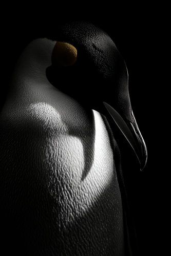 Pinguïn