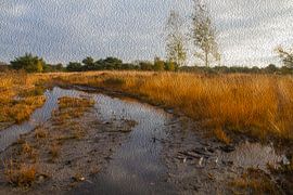 Kempische zandgronden - landschapsfoto ZOOM IN! van QEIMOY