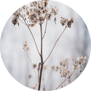 Natuur op z'n mooist