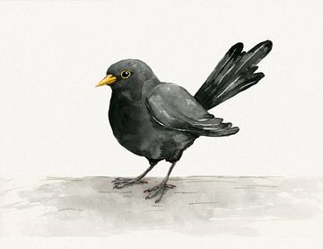 Blackbird ink drawing by Bianca Wisseloo