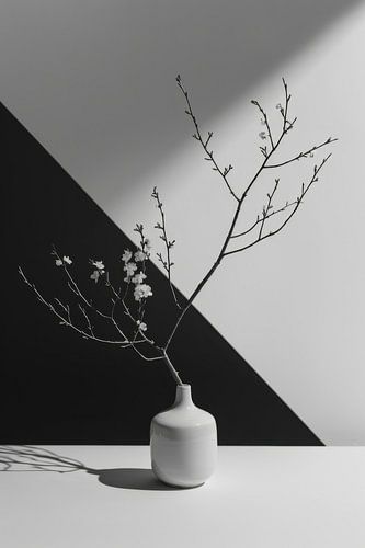 Nature morte minimaliste