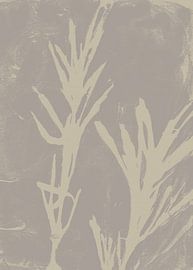 Abstrait botanique. Feuilles en blanc sur taupe clair. sur Dina Dankers