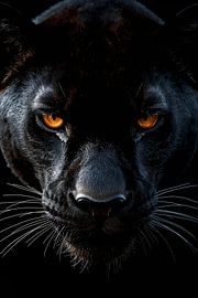 Schattenjäger: Der Blick des Panthers