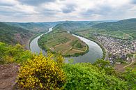 Bend in the river Moselle by Menno van der Haven thumbnail
