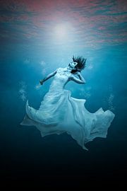 underwater by nilix fotografie