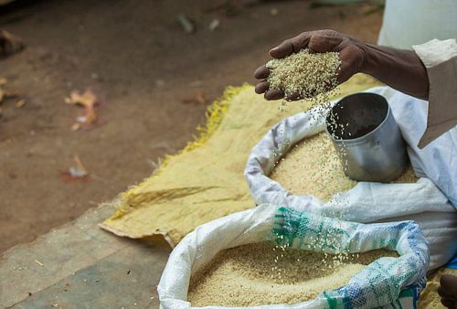 Des grains de riz tombent d'une main noire dans un sac sur un marché.