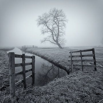 Misty morning by Halma Fotografie