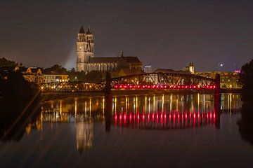 Maagdenburg - Uitzicht op de Dom van Maagdenburg bij nacht van t.ART