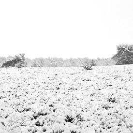sneeuw landschap van Marjolein Hulst