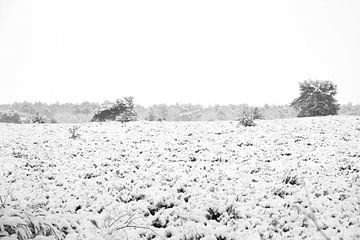 sneeuw landschap van Marjolein Hulst