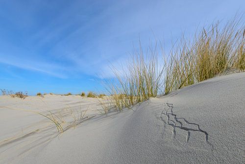 Zandpatronen op het strand