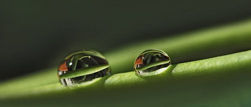 The Story of Water Drops