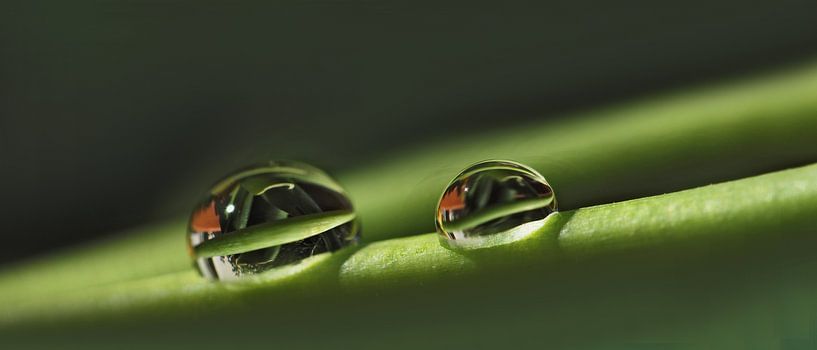 The Story of Water Drops by Katarina Niksic