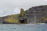 Cliffs of Moher - Irland von Babetts Bildergalerie Miniaturansicht