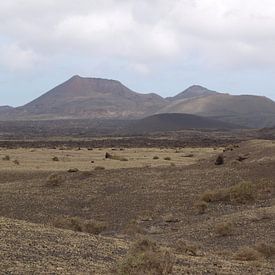 Vulkanisch landschap, Lanzarote van Rinke Velds