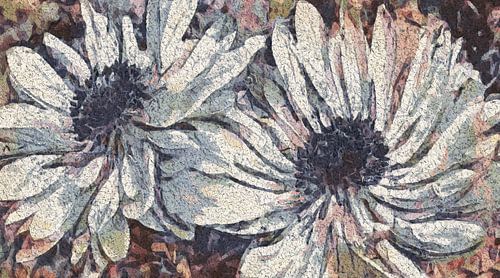 Pastelkleurige anemonen in de oktober zon