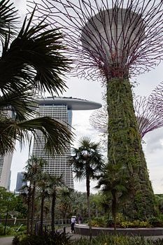 Marina Bay Area Singapur