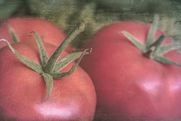 Tomaten van Marianne Twijnstra