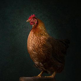 Klassisches walisisches Huhn von Elles Rijsdijk