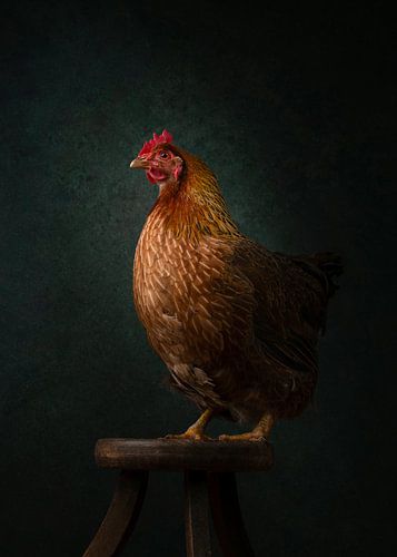 Classic Welsh chicken by Elles Rijsdijk