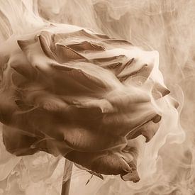 Drama in sepia: Roos omhult door rook van Marjolijn van den Berg