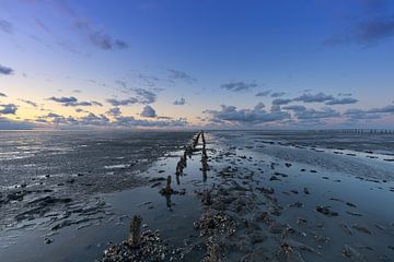 Paysage des Wadden avec d'anciennes bornes de récupération des terres sur KB Design & Photography (Karen Brouwer)