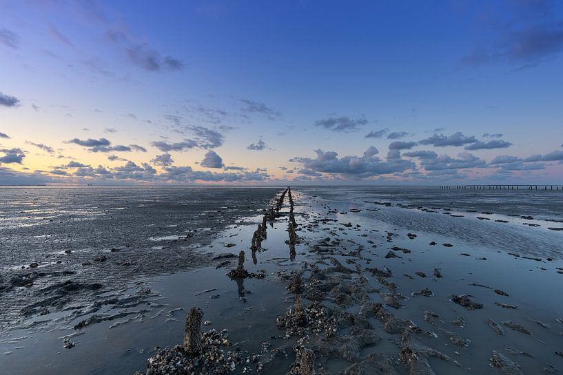 Wadden landscape with old land reclamation posts by KB Design & Photography (Karen Brouwer)