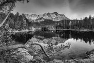 Bergsee in Bayern mit Zugspitze in schwarzweiss. von Manfred Voss, Schwarz-weiss Fotografie Miniaturansicht