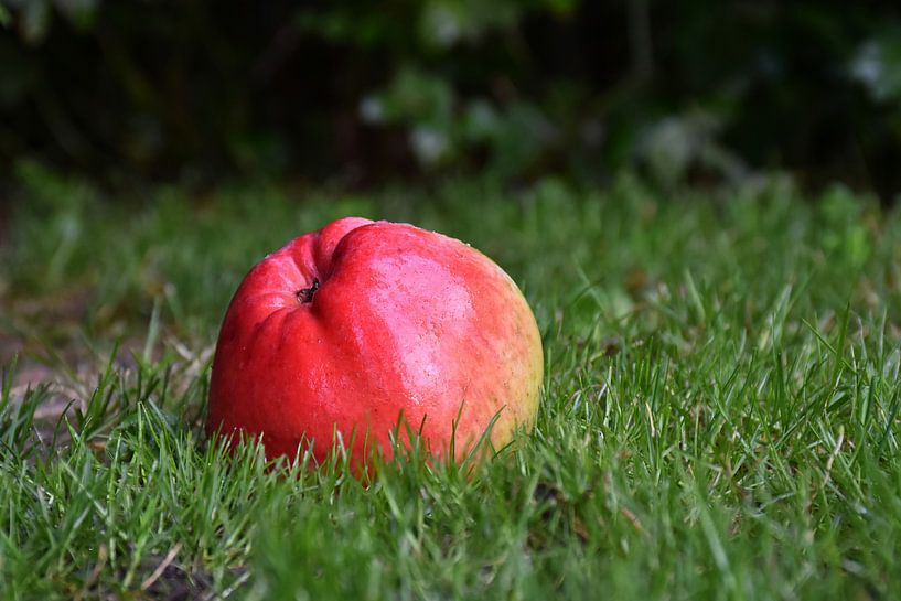 One apple a day keeps the doctor away van Henk de Boer