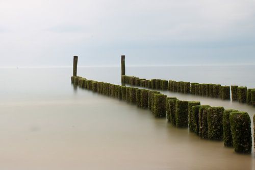 North Sea Netherlands