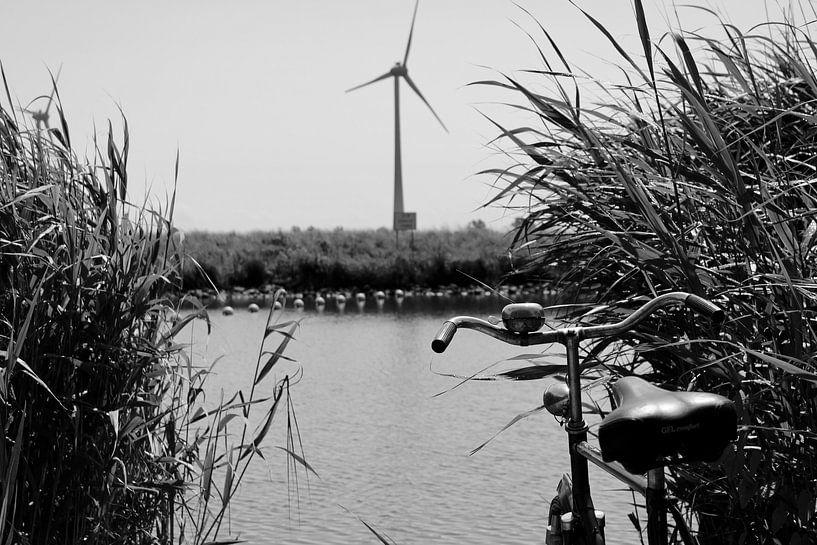 Bicycle and happiness by Sidney Graf