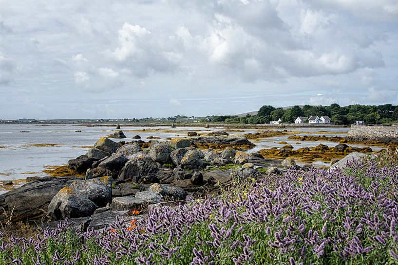 Ierland von Jan de Jong