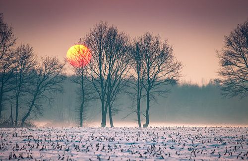 Winter sun over snowy meadow
