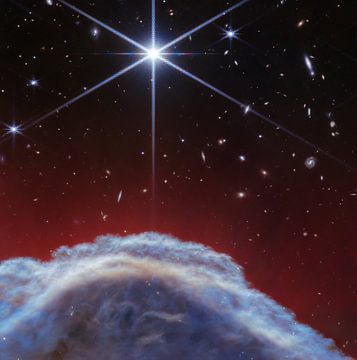 Horsehead Nebula (NIRCam-beeld) van NASA and Space