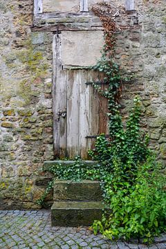 Kleine deur naar het kasteel van Claudia Evans