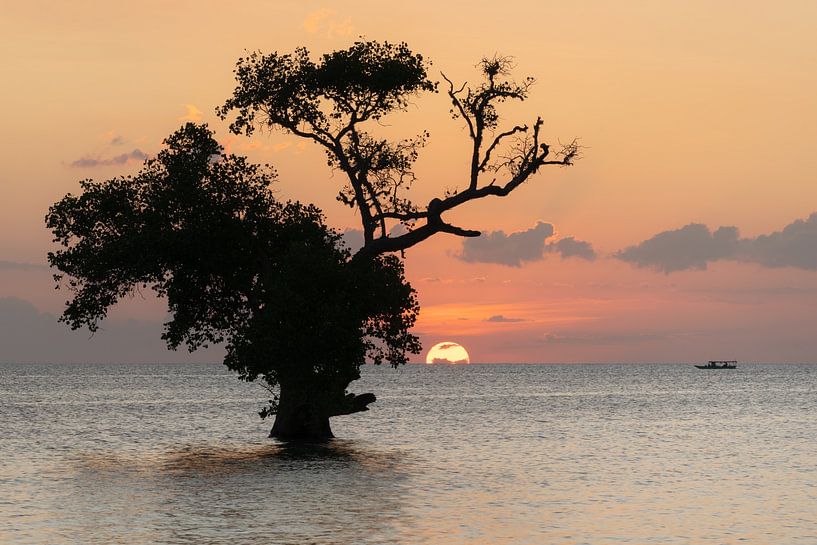 Ein schöner Sonnenuntergang in Sumbawa von Anges van der Logt