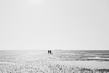 Op weg naar Hallig Oland van Heiko Westphalen