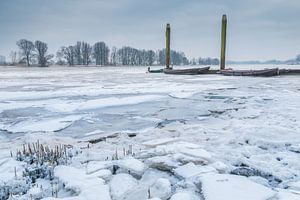 Cold