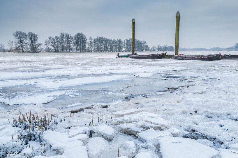 Cold by Jan Koppelaar