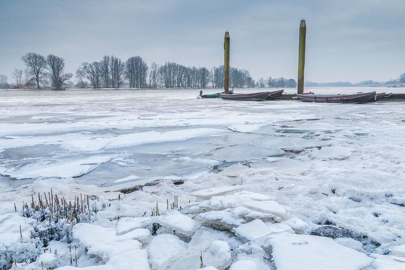 Cold van Jan Koppelaar