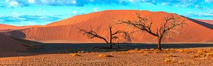 Bäume für die roten Dünen von Sossusvlei, Namibia