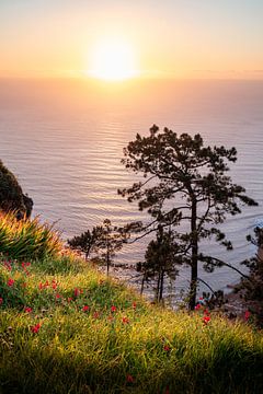 Sonnenuntergang auf dem Meer bei Madeira von Erwin Pilon