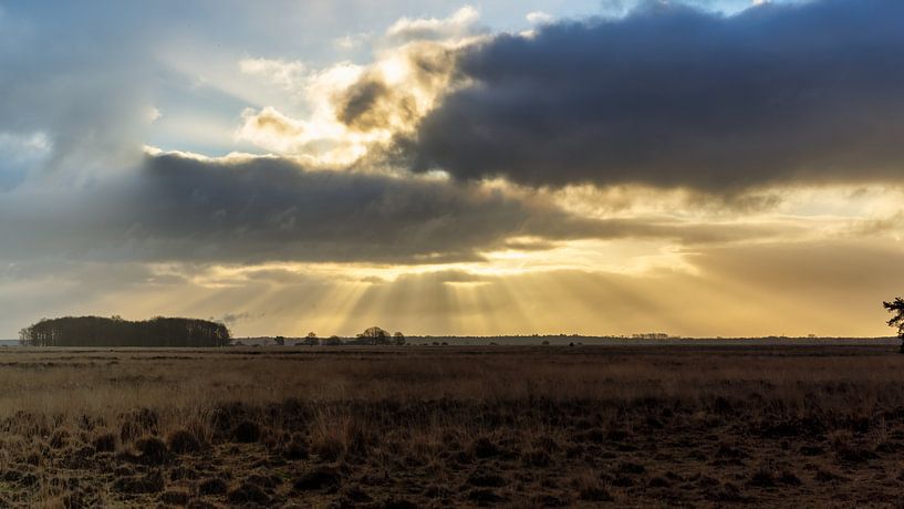 Derrière les nuages, le soleil brille par Anneke Hooijer