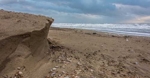 Richel in het zand
