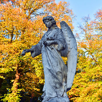 Zauberhafter Engel im Herbstlicht