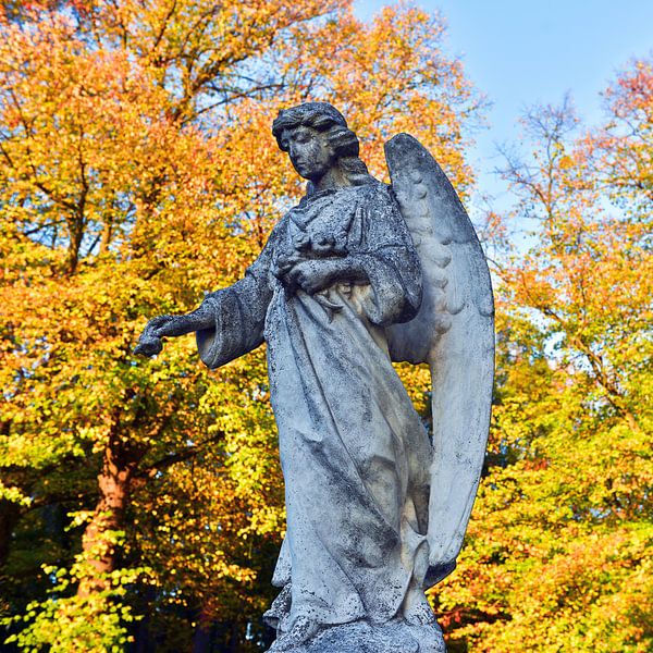 Betoverende engel in herfstlicht van Silva Wischeropp